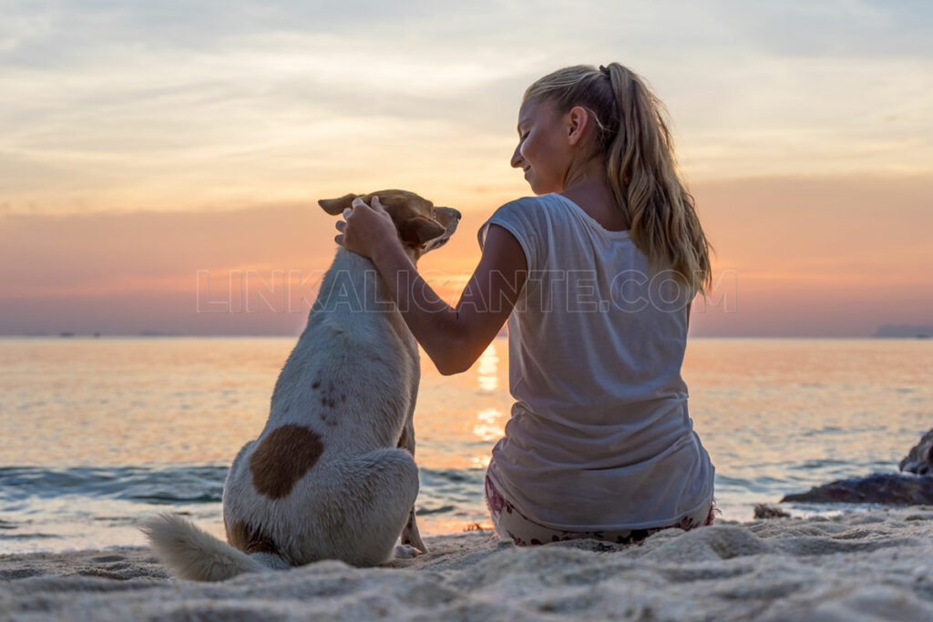 Ahora internacional prisa 10 Playas para Perros en la provincia de Alicante [2022] - LinkAlicante