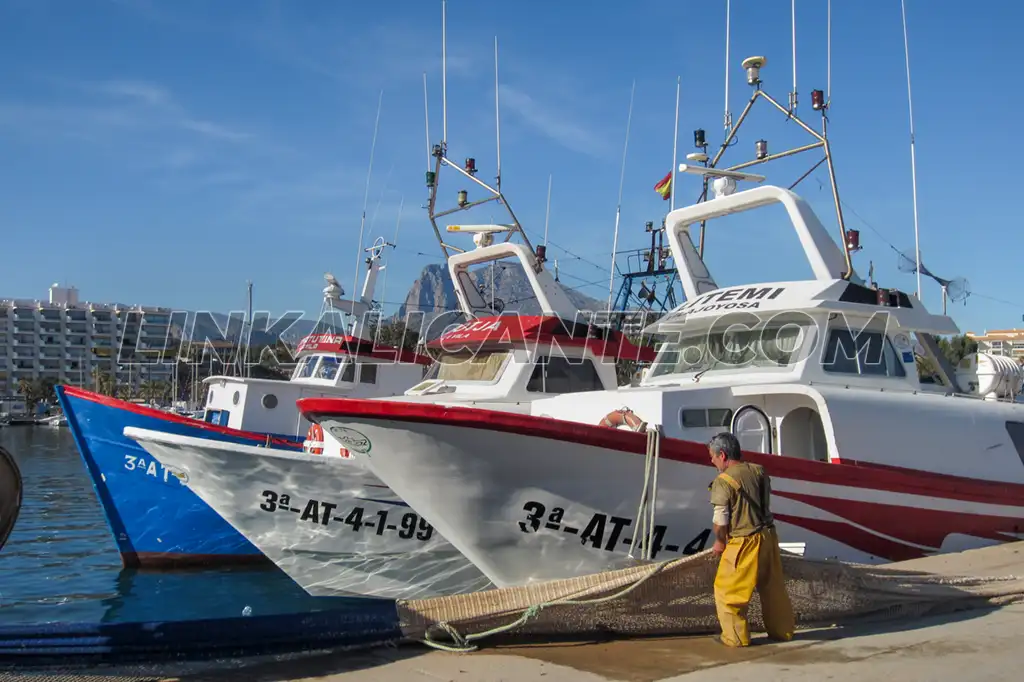Puerto Pesquero Villajoyosa
