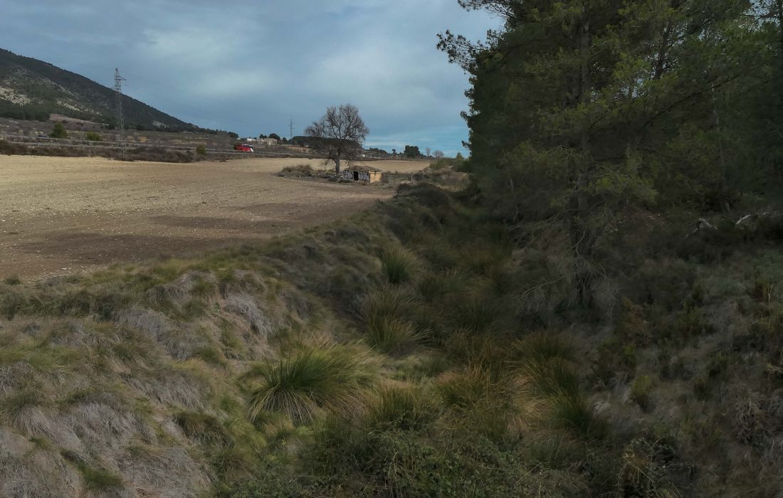 Excursión reivindicativa en Ibi para defender la rambla Gavarnera frente al proyecto industrial de La Canal 1 Imagen de los terrenos donde está previsto el polígono