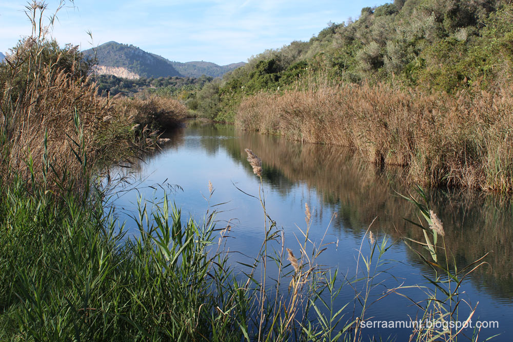 Riu Salinar, Marjal de Pego-Oliva