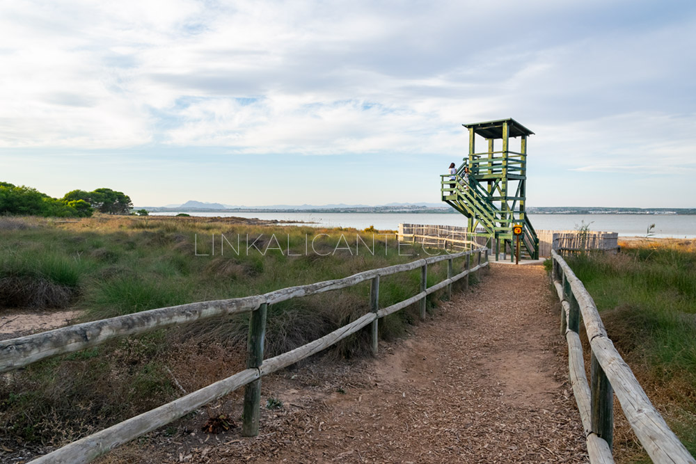 Ruta accesible Laguna de la Mata (Torrevieja)