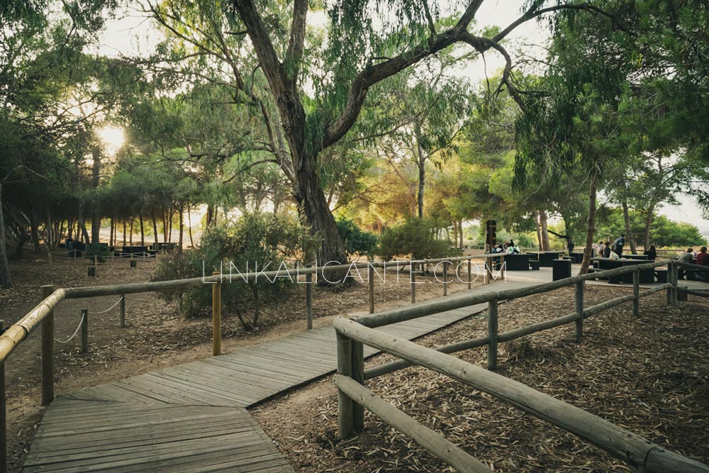 Laguna de la Mata accessible route (Torrevieja)