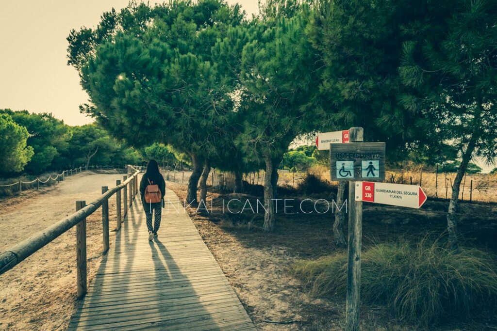 Ruta accesible Laguna de la Mata (Torrevieja)