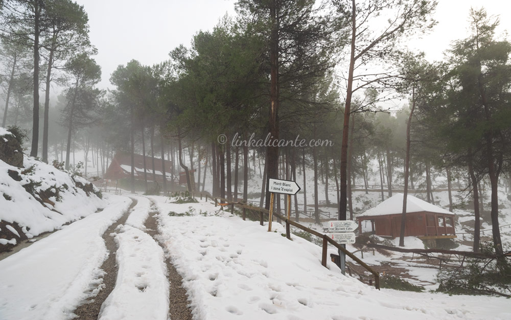 Ruta Cava Don Miquel desde Agres