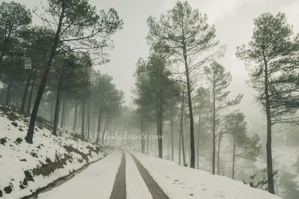 Ruta Cava Don MIquel desde Agres