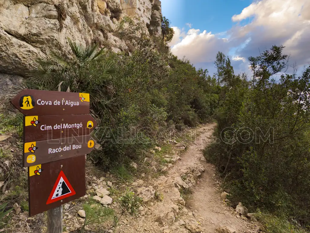 Ruta Cova de l'Aigua, Montgó