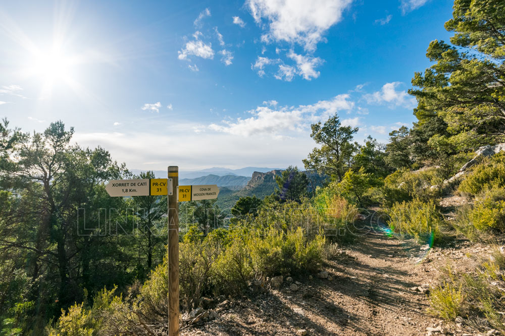 Ruta Cova de Mossen Francés