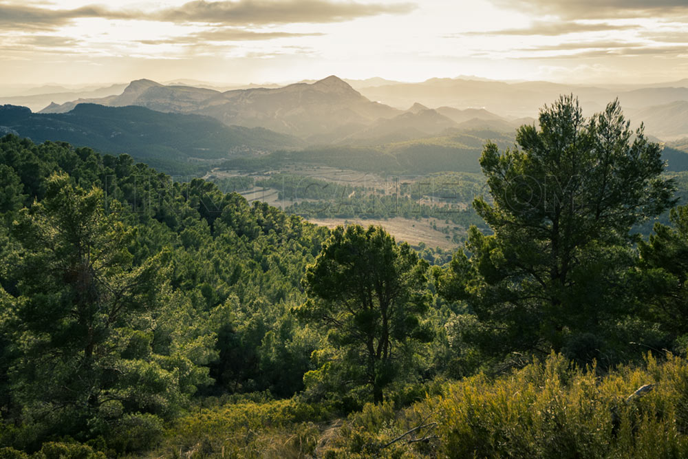 Ruta Cova de Mossen Francés