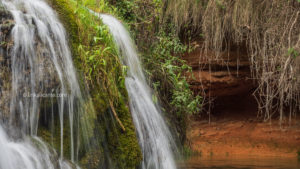 Ruta de senderismo Font de la Coveta, Nacimiento del Vinalopó