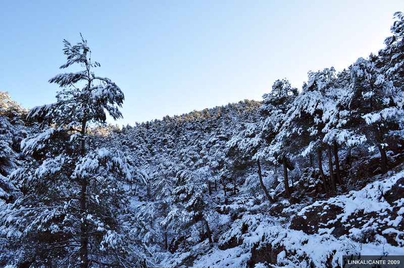 Ascent to Montcabrer from Agres (with snow)