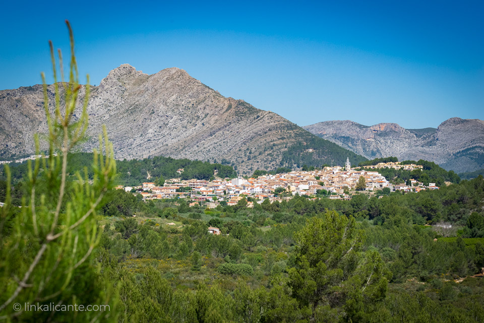 ruta-orquideas-alcalali_DSC0224