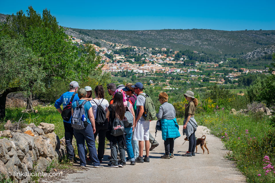 ruta-orquideas-alcalali_DSC0243