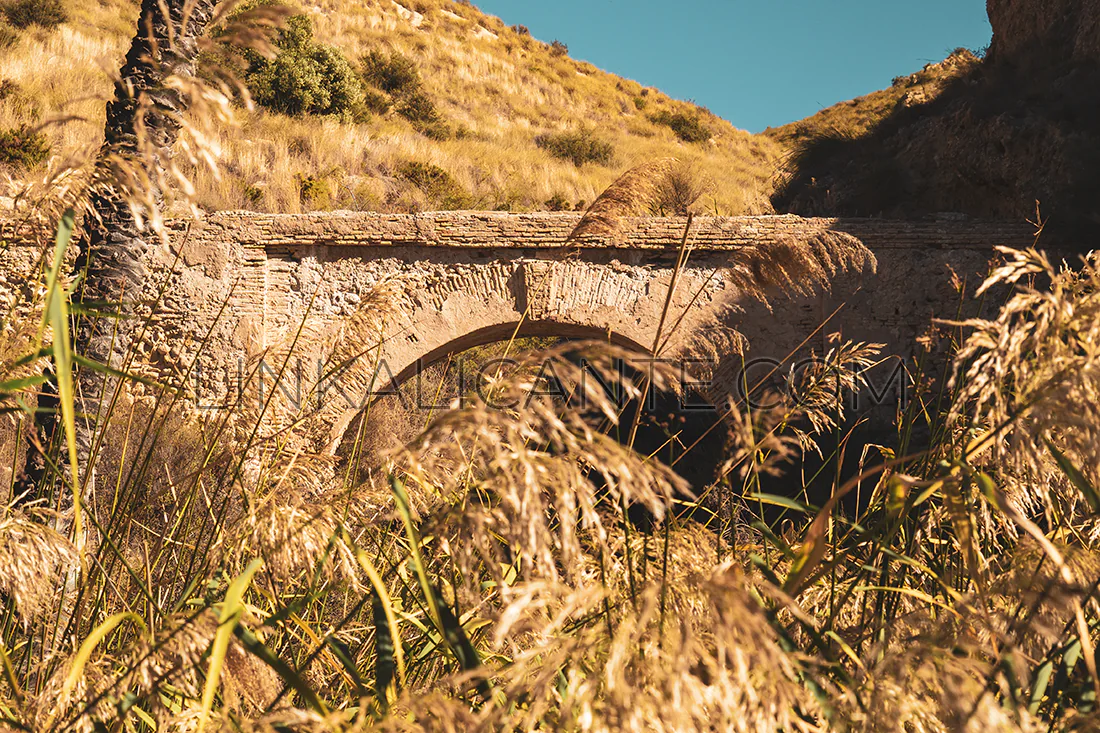 Elche y su histórico Palmeral: paisaje y patrimonio dibujados por el agua 4 Acequia mayor pantano de Elche