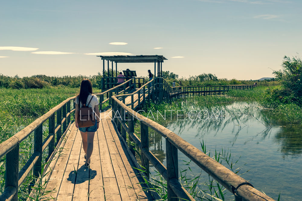 Inclusive route in El Fondo National Park