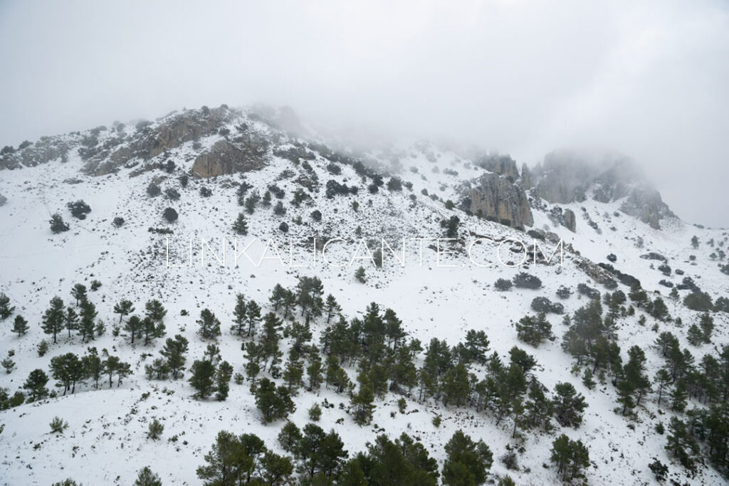 Ruta subida Pla de la Casa desde Benasau con nieve, Serrella