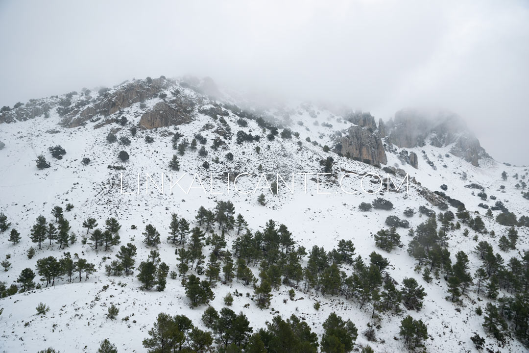 Pla de la Casa (Serrella) desde Quatretondeta por PR-CV 24 8 Ruta subida Pla de la Casa desde Benasau con nieve, Serrella