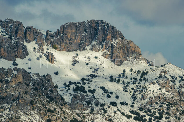 Ruta subida Pla de la Casa con nieve desde Benasau