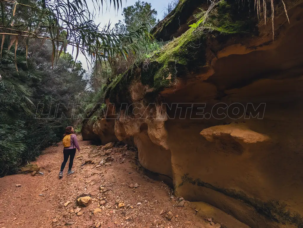 Ruta del Río Seco en Pilar de la Horadada: plan familiar en la naturaleza 9 Ruta del Río Seco, Pilar de la Horadada