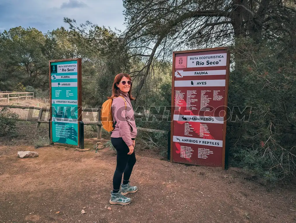 Ruta del Río Seco en Pilar de la Horadada: plan familiar en la naturaleza 10 Paraje Natural Río Seco, Pilar de la Horadada