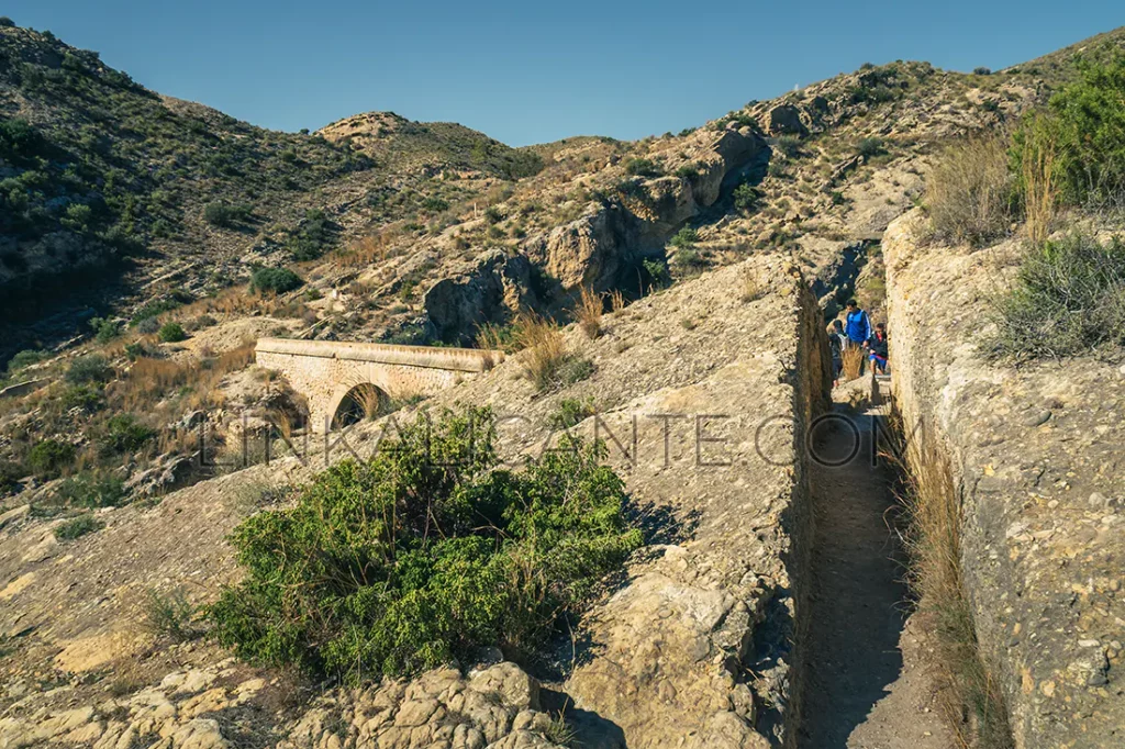 ruta-senderismo-pantano-elche-04