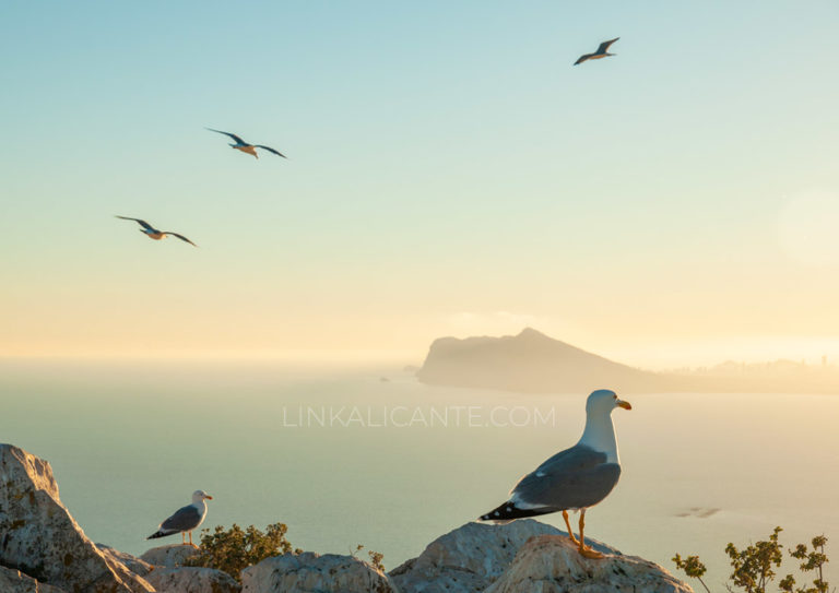 Ruta de subida al Peñón de Ifach, Calpe