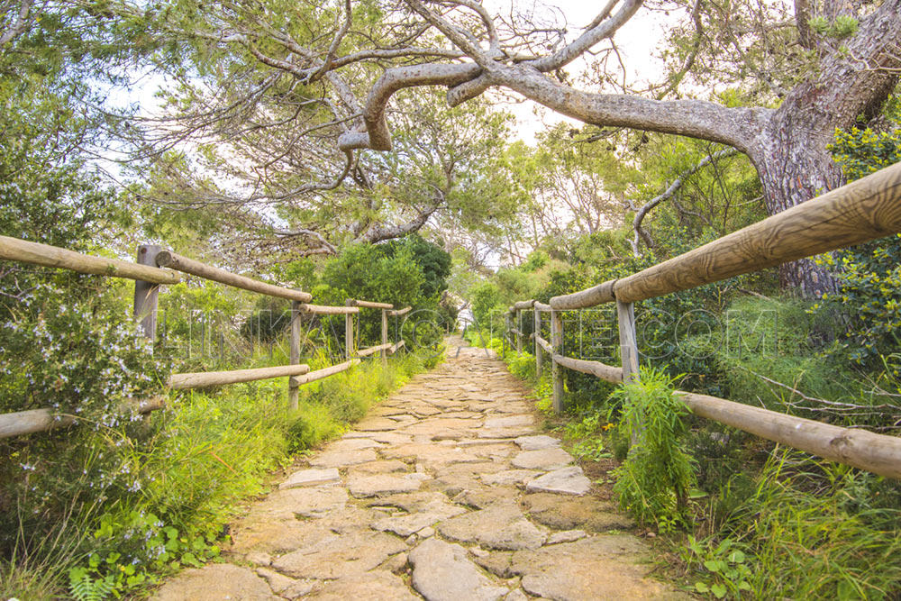 Ruta de subida al Peñón de Ifach