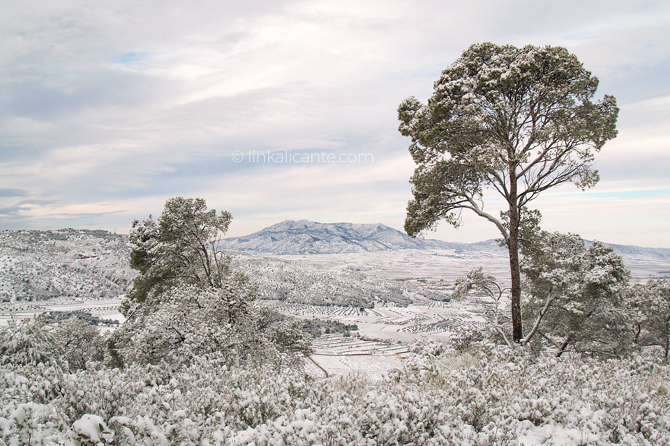 rutas-nieve-alicante-encebres-pinoso