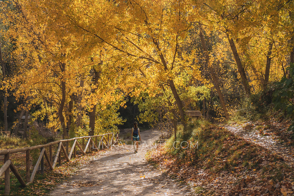 Rutas de Otoño en la provincia de Alicante