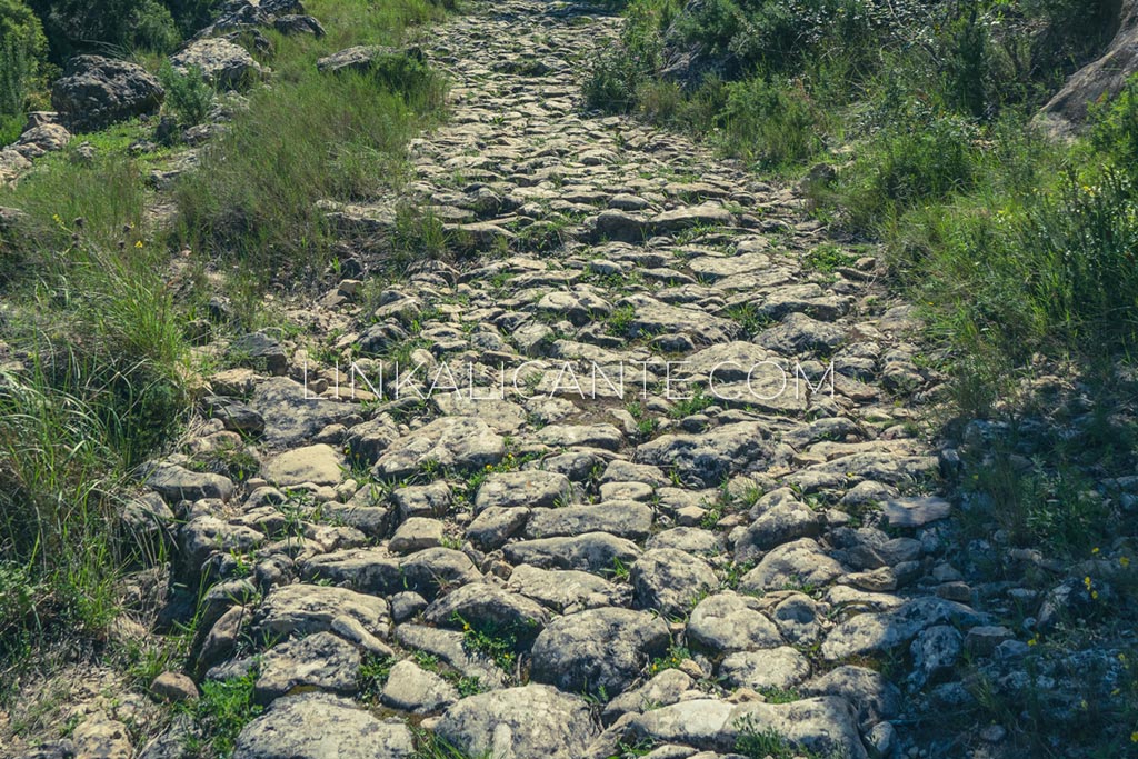 path-cut-cavanilles-cortes-pallas