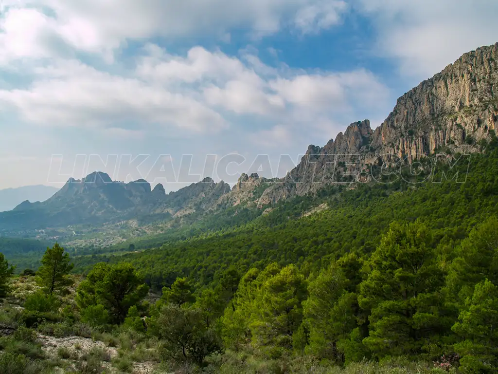 Serra de Els Castellets, la cresta más estilizada de Alicante 7 Cresta de Els Castellets, Finestrat