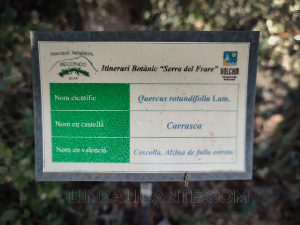 serra-frare-biar-itinerario-botanico