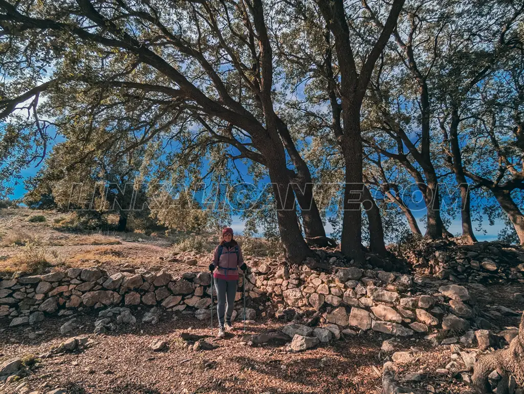 Alt de Dubots / La Serreta (Alcoy): ruta circular a una cima cargada de historia 8 Yacimiento Arqueológico de La Serreta