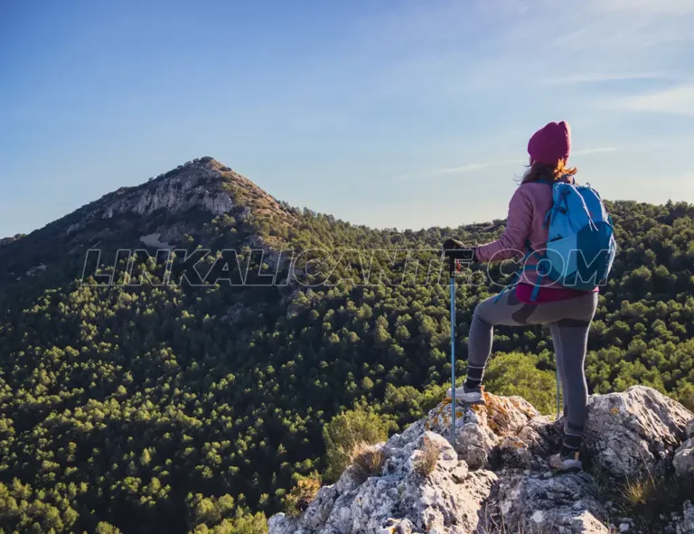 Artículos Recientes 3 Alt de Dubots - La Serreta, Alcoy