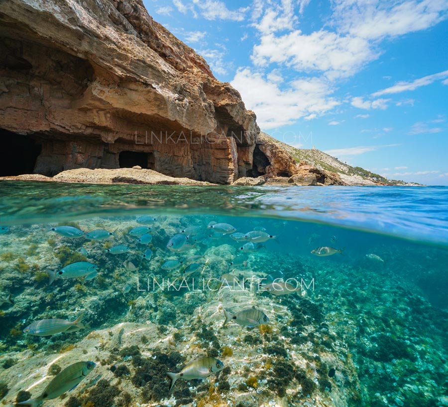 Snorkel en la Cova Tallada, Jávea, Alicante