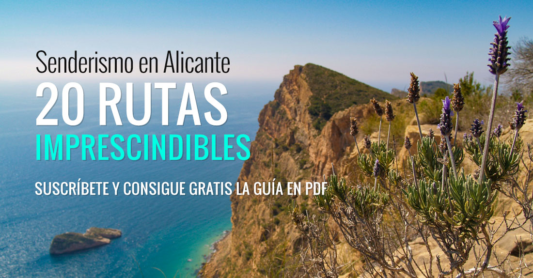 Suscripción por email a LinkAlicante