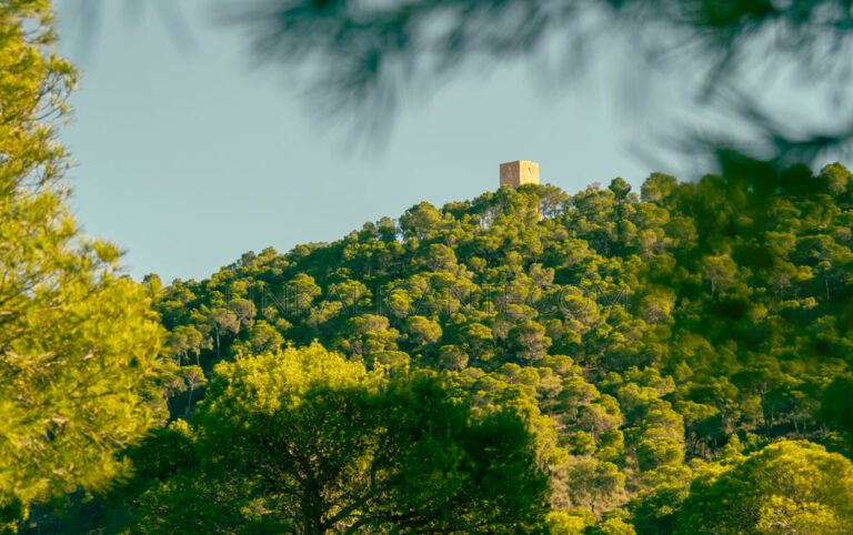 Torre Aguiló La Vila Joiosa