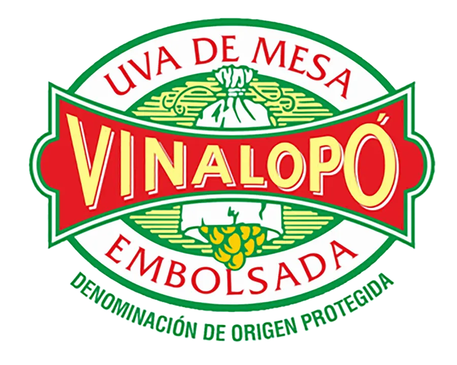 uva-mesa-embolsada-vinalopo