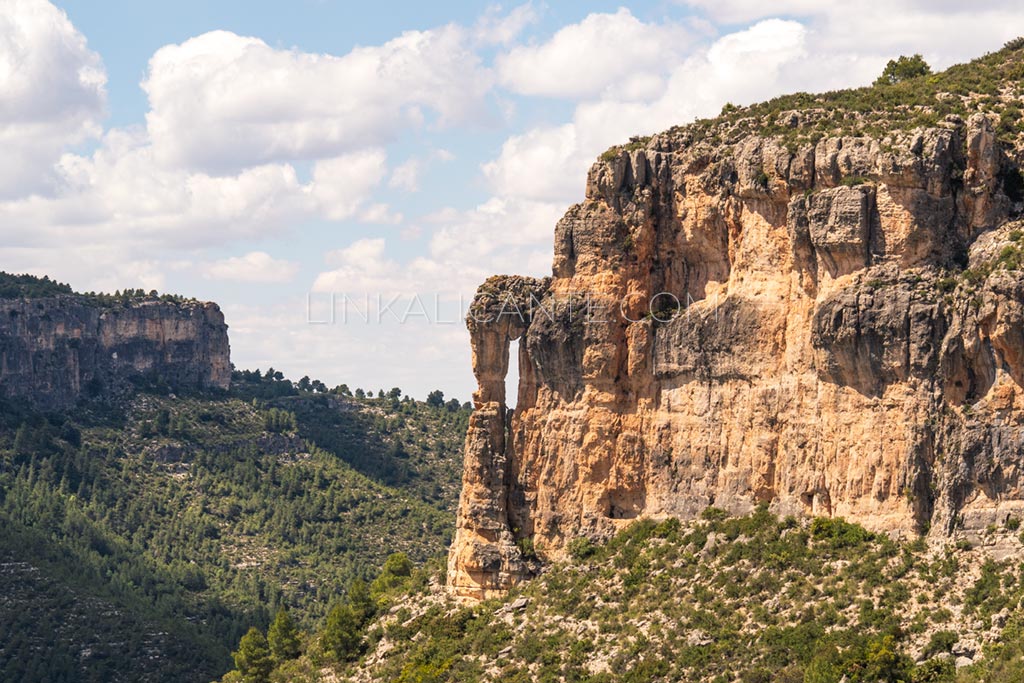 window-eagle-path-cortes-pallas-valencia