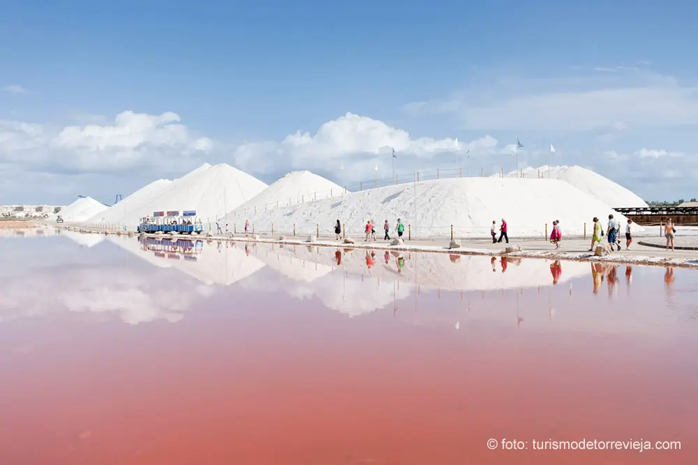 What to see in Torrevieja - Visit to the Salt Flats