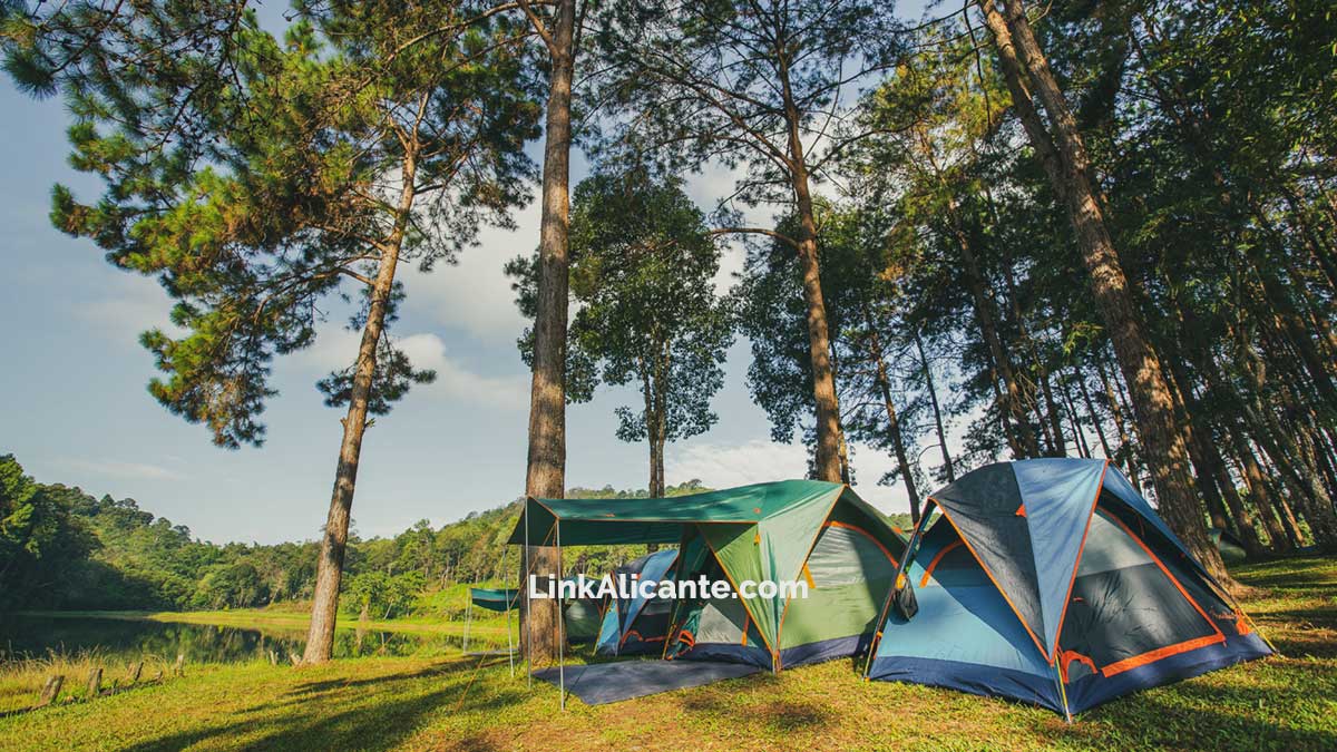 Manía cámara Doméstico Zonas de Acampada en la provincia de Alicante - LinkAlicante